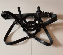 Lade das Bild in den Galerie-Viewer, Leder Harness passend Venus 2000 & Tremblr Receiver mit Edelstahl Schnallen